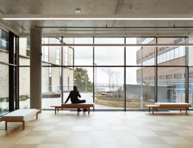 Institutions as Living Systems