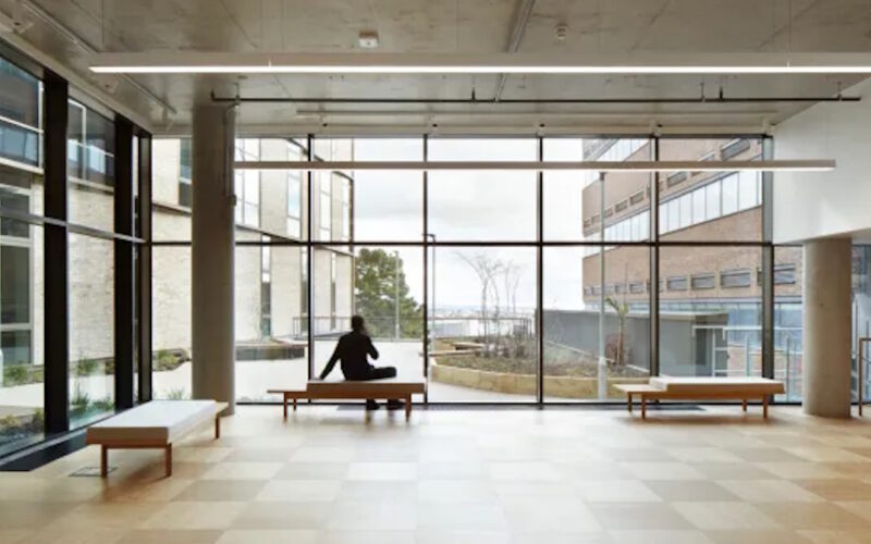 Institutions as Living Systems