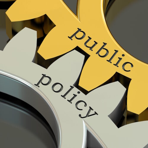 How Public Policies Learn