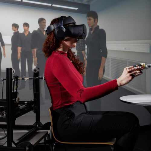 Innovation Laboratories for Cognitive Governance