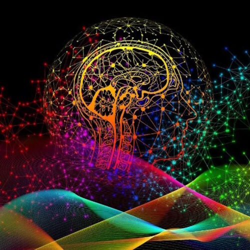 Institutional Cognition Is More Than the Sum of Individual Minds