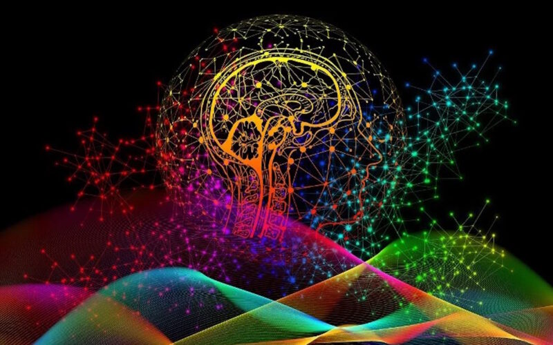 Institutional Cognition Is More Than the Sum of Individual Minds