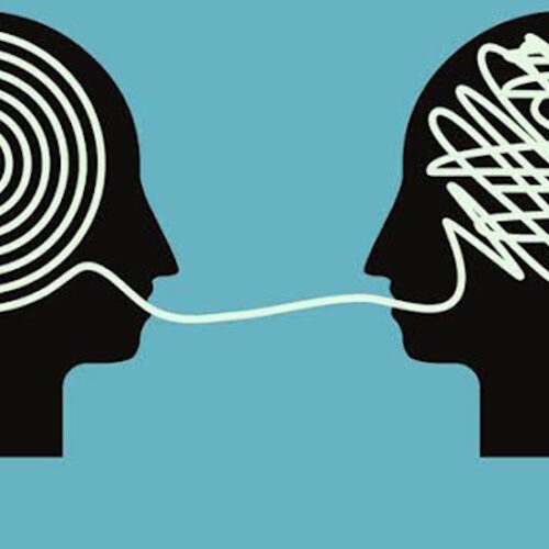 Why More Information Can Make an Institution Understand Less