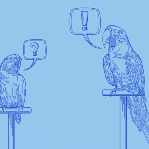 Shared Words Can Hide Different Meanings