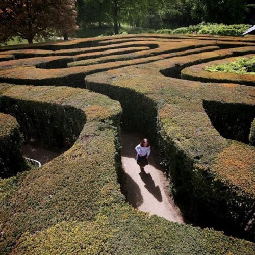 What Gets Lost on the Way Up?