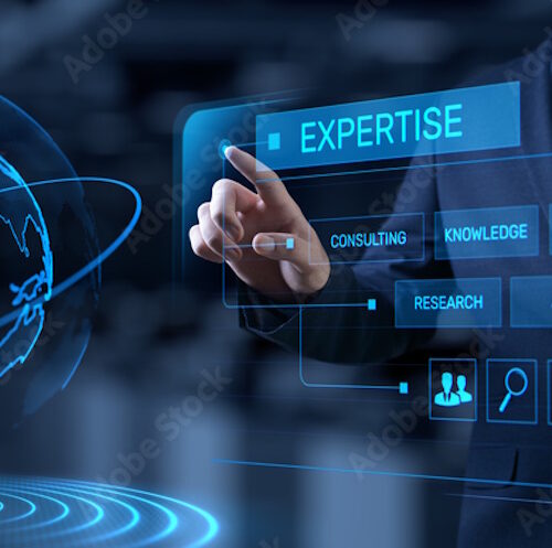 More Expertise Means More Interfaces